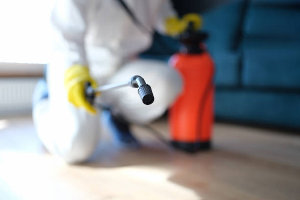 Best Comprehensive Air Testing for Mold Contaminants  in Forest Acres, SC