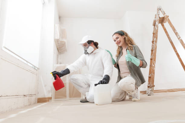  Forest Acres, SC Mold Removal Pros