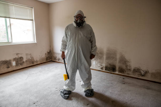 Best Commercial Mold Inspection  in Forest Acres, SC